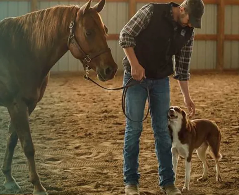 A veterinarian standing with a chestnut horse and a red and white dog in an indoor arena